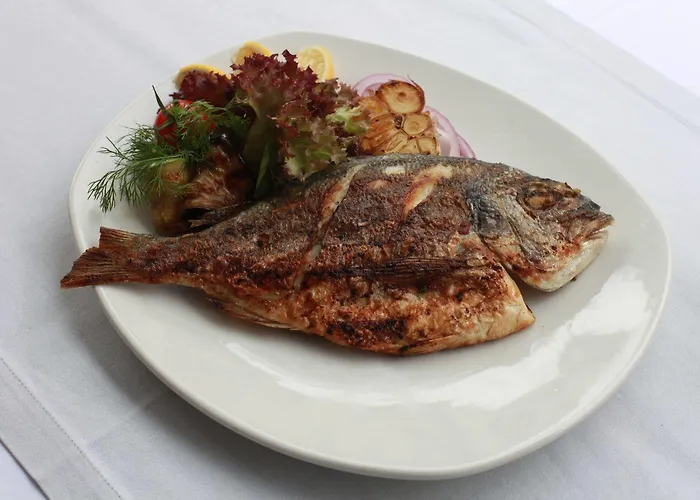 Tria Elegance מלון 4*